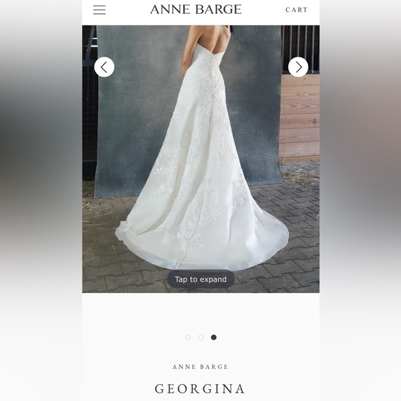 Anne Barge Georgina Wedding Dress Size 0/2 - Picture 12 of 15